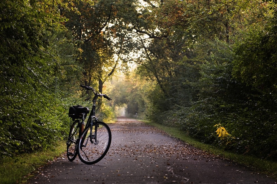 W Nowej Wsi Głubczyckiej chcą stworzyć kolejną ścieżkę pieszo-rowerową [fot. https://pixabay.com/pl]