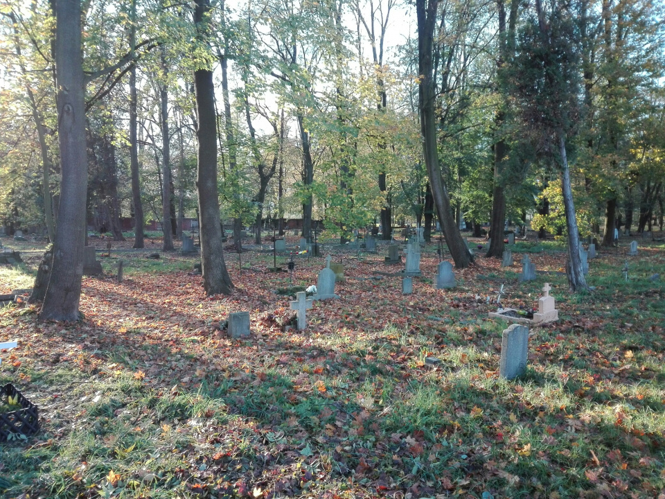 Cmentarz przy ul. Wrocławskiej w Opolu [fot. Sławomir Kieler]