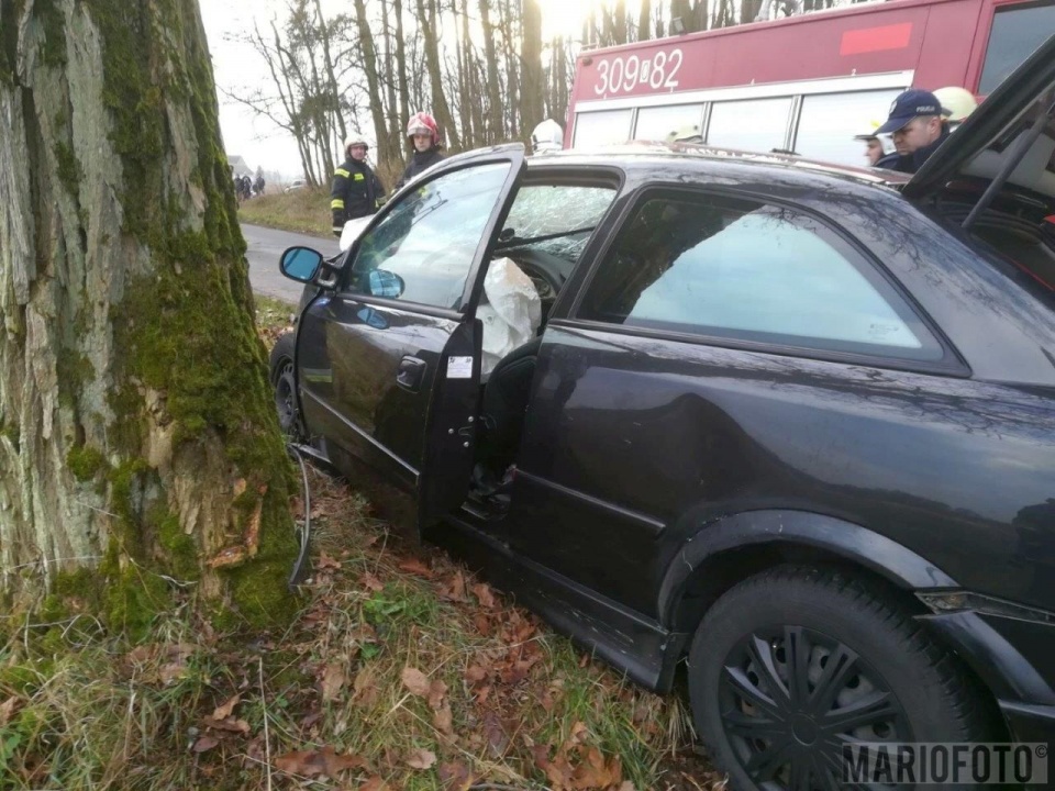 Samochód uderzył w drzewo [fot. Mario]