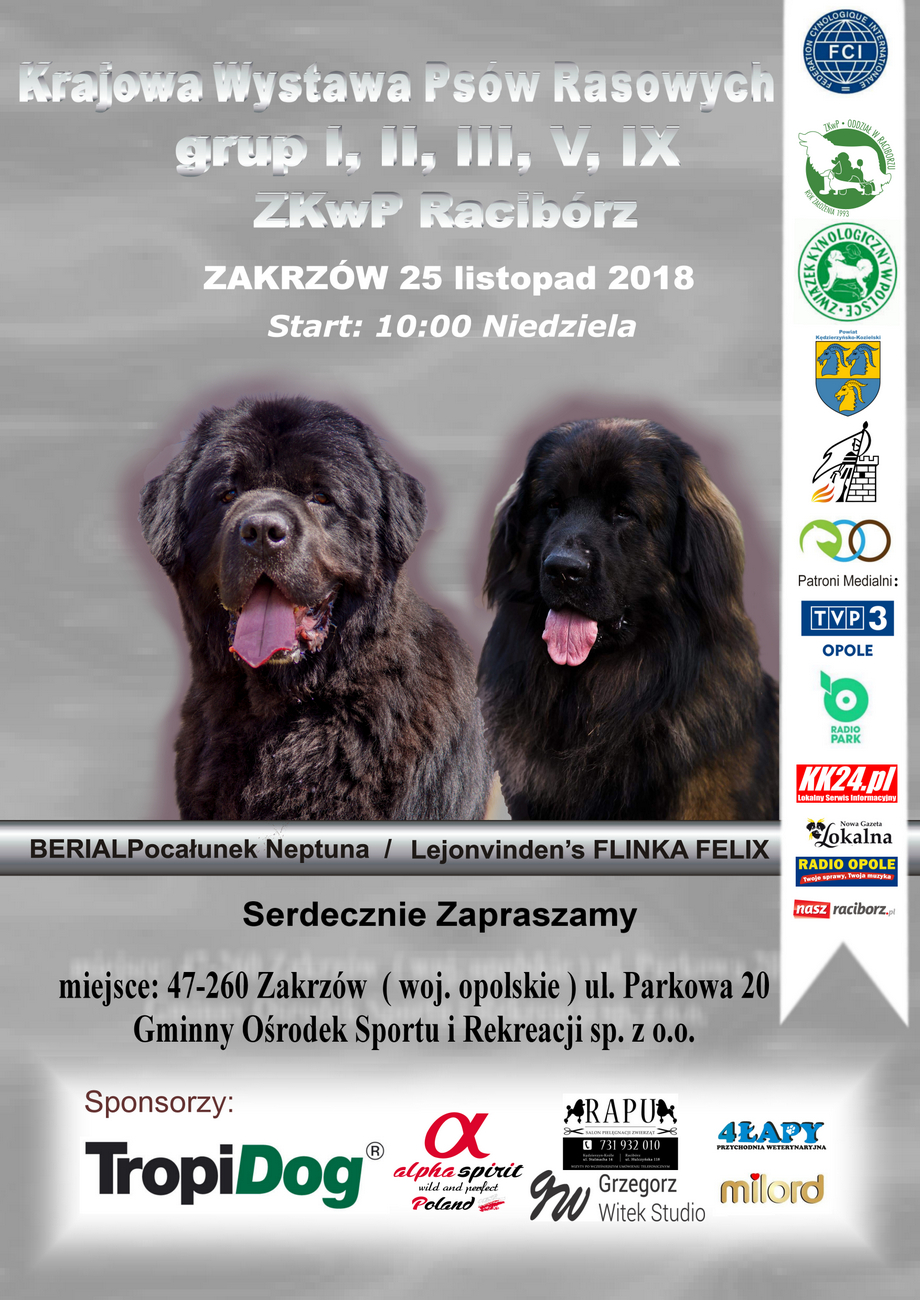 Psy rasowe ponownie opanują Zakrzów – Krajowa Wystawa już w najbliższą niedzielę! [materiały organizatora]