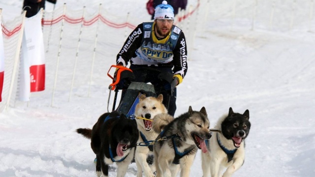 Tomasz Radłowski jedzie na mistrzostwa świata w sporcie zaprzęgowym psów rasowych