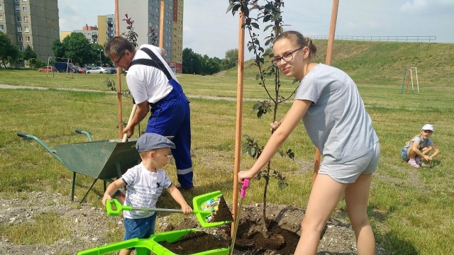Opolanie sadzili nowe drzewka w parku na osiedlu Armii Krajowej