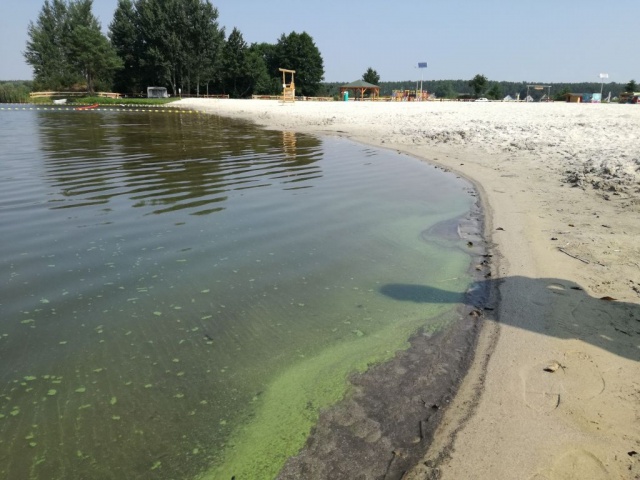 Kąpielisko w Nowych Siołkowicach zamknięte 2 tygodnie po otwarciu. Sanepid zakazał kąpieli
