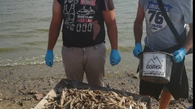 Przyducha zabija drobne ryby w Jeziorze Otmuchowskim. PZW: może być gorzej