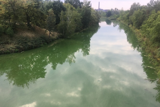 Woda w Kanale Kędzierzyńskim zrobiła się zielona