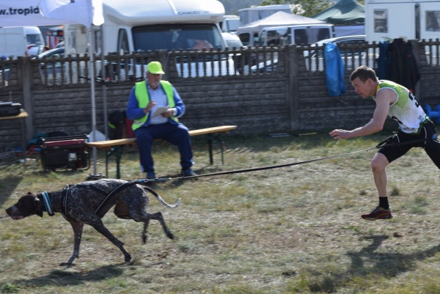 Mistrzostwa świata psich zaprzęgów w Lubieszowie