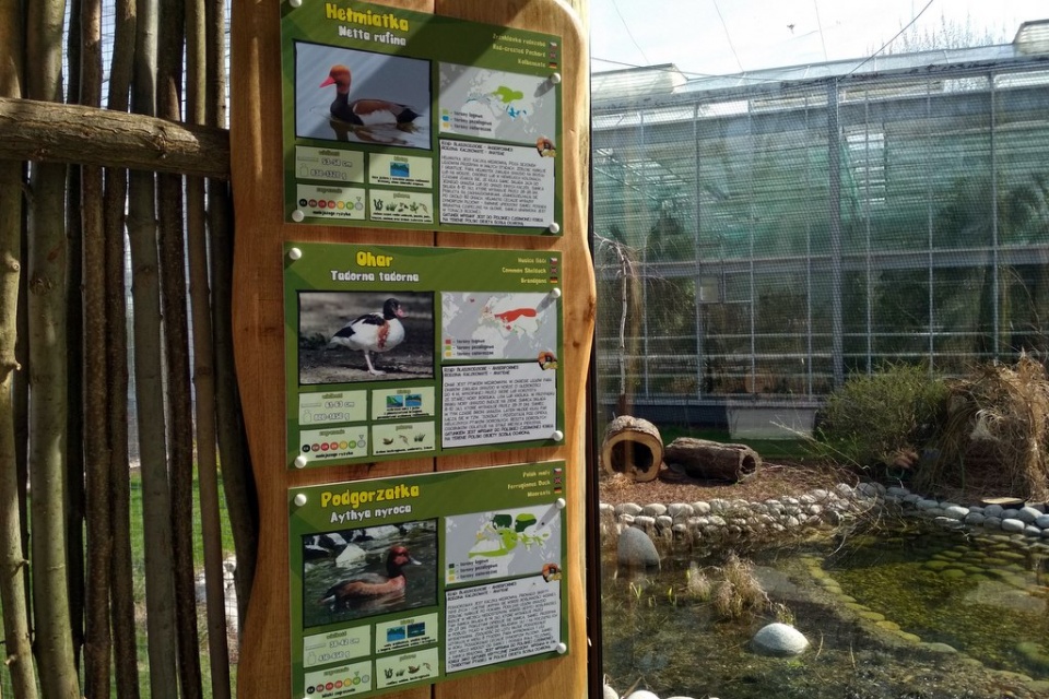 Kraina Bioróżnorodności w opolskim zoo otwarta [fot. Joanna Matlak]