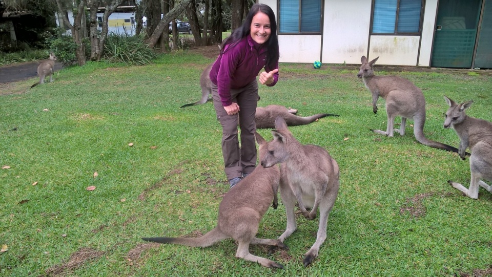 Kangury w Australii [fot. materiały organizatora]
