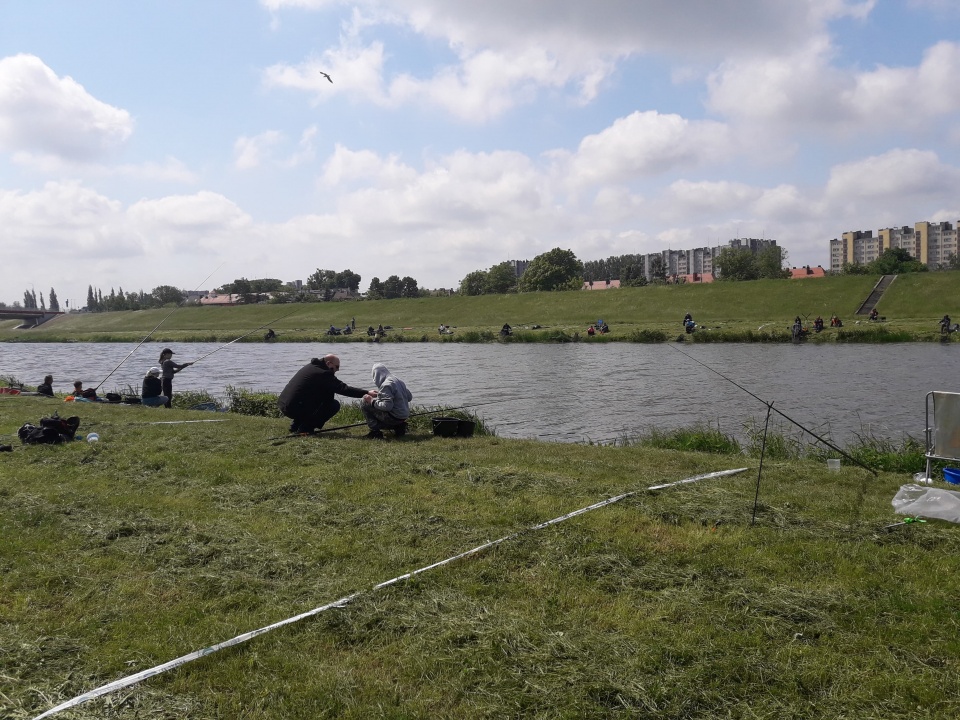 Młodzi wędkują nad kanałem Ulgi w Opolu. Walczą o puchar mistrza [fot. Wiktoria Palarczyk]