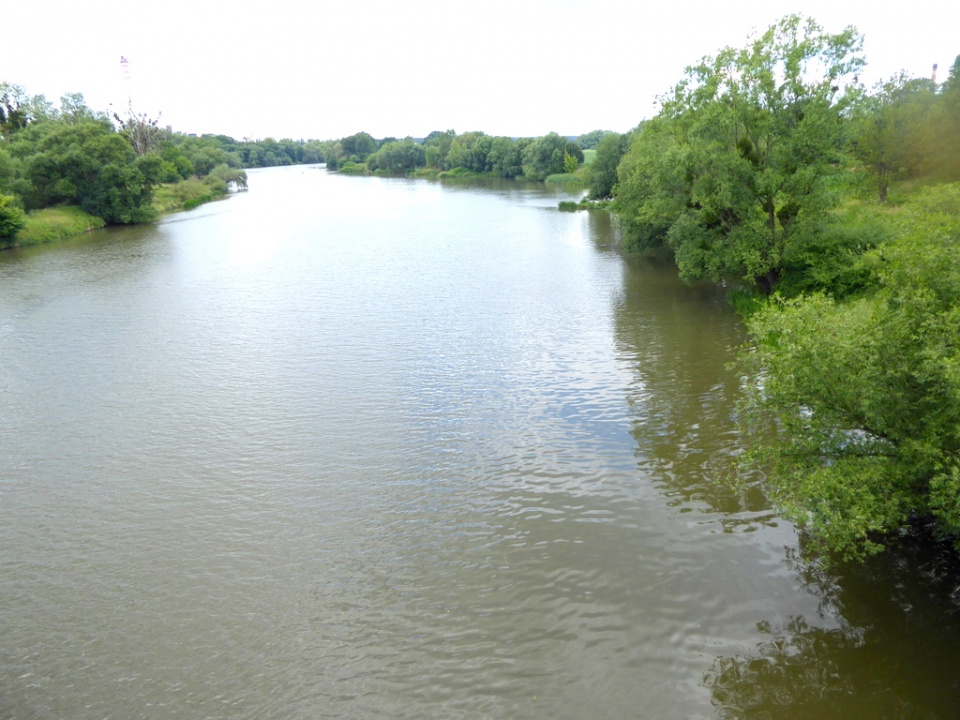 Rzeka Odra [fot. Witold Wośtak]