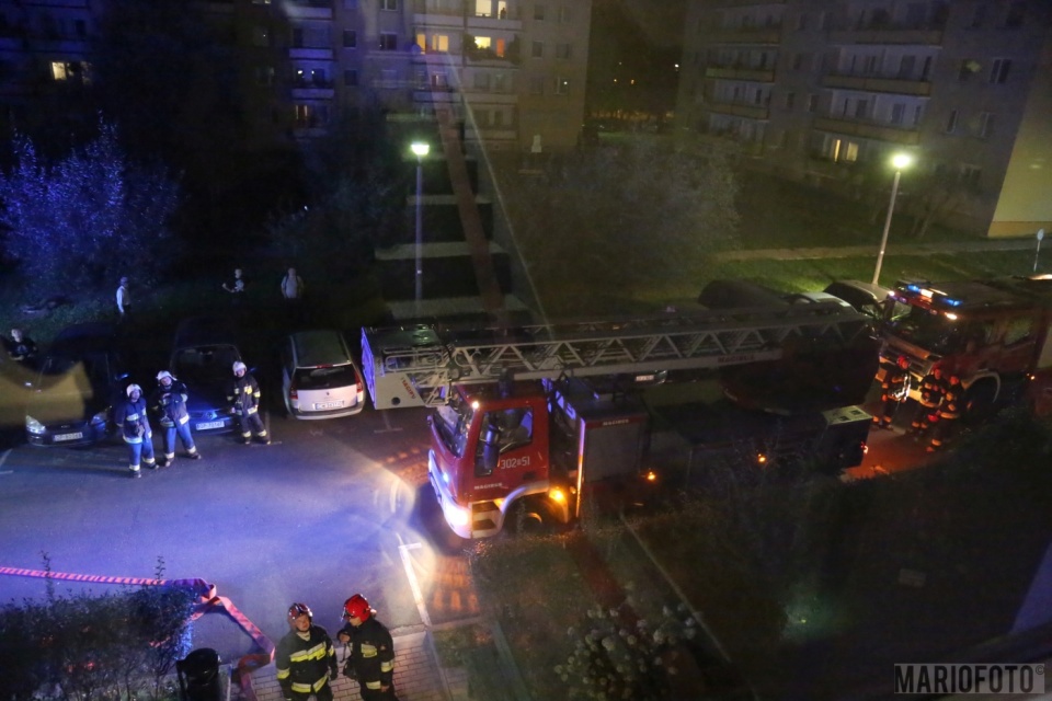 Pożar przy ulicy Koszyka w Opolu [fot. MARIO]