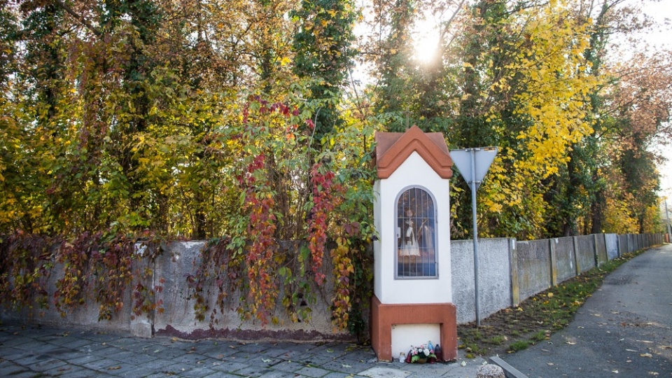 Cmentarz Choleryczny w Opolu [fot. cmentarze.opole.pl]