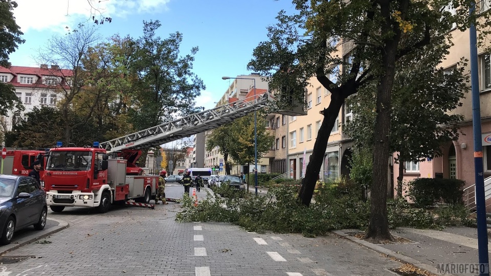 ARCHIWUM - Interwencje opolskich strażaków, 30.09.2019 [fot. MARIO]