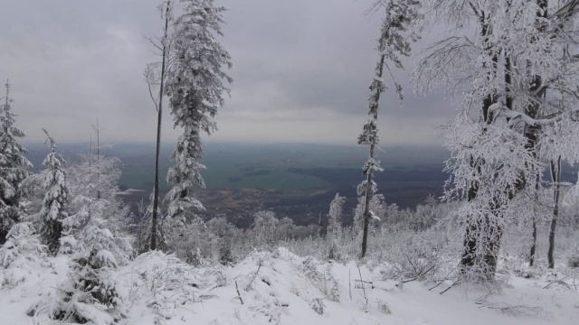 Dlaczego śnieg jest biały Poranna rozmowa Radia Opole w Światowym Dniu Śniegu