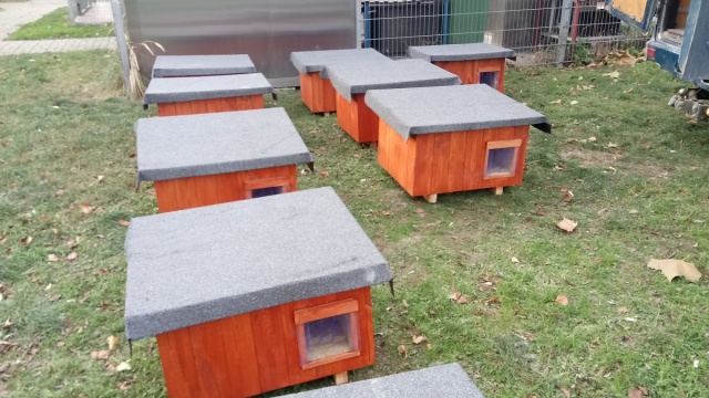 Miasto Opole postawiło 15 domków dla kotów wolno żyjących