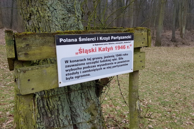 IPN zakończył kolejny etap poszukiwań szczątków żołnierzy Bartka na terenie Dąbrówki