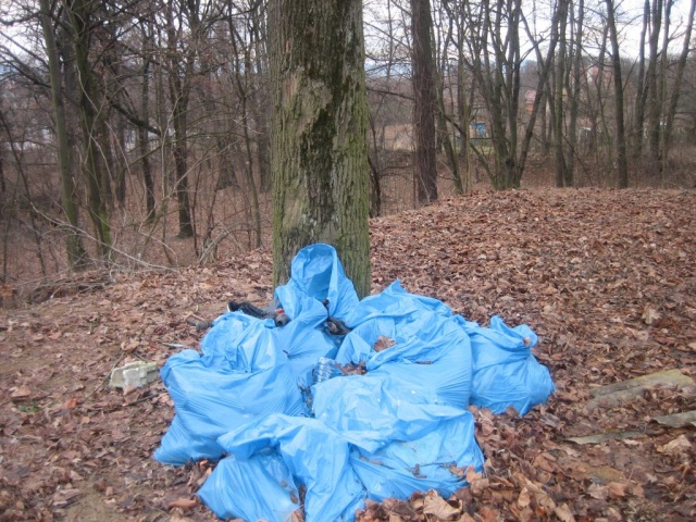 Oleskie nadleśnictwo każdego roku wydaje 150-200 tysięcy złotych na usuwanie śmieci z lasu