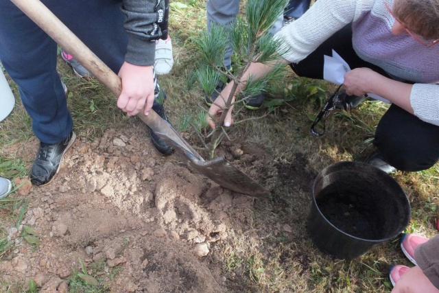 Mieszkańcy powiatu nyskiego będą mogli własnoręcznie zasadzić las