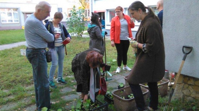 Sadzonka za elektroodpady. Mieszkańcy Kędzierzyna-Koźla w środę będą mogli wziąć udział w ekologicznej akcji