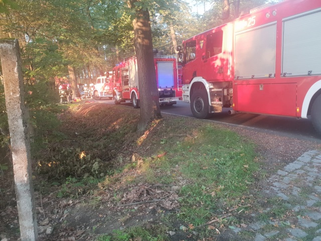 Auto osobowe uderzyło w drzewo w Ligocie Prószkowskiej. W Opolu potrącenie rowerzystki