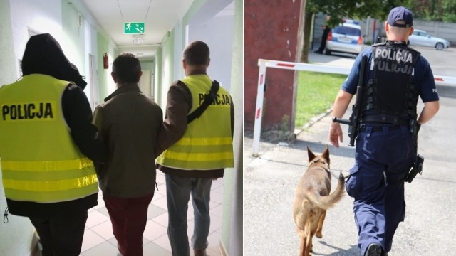 Kędzierzyn-Koźle: policyjny pies wywąchał, gdzie ukrył się złodziej-włamywacz