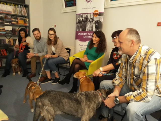 Dali im kochający dom Fundacja Fioletowy Pies promuje adopcje zwierząt