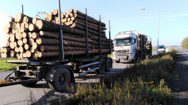 Przewoźnicy drewna notorycznie łamią przepisy. Zakończyła się akcja WITD. Naprawdę nietrudno o tragedię
