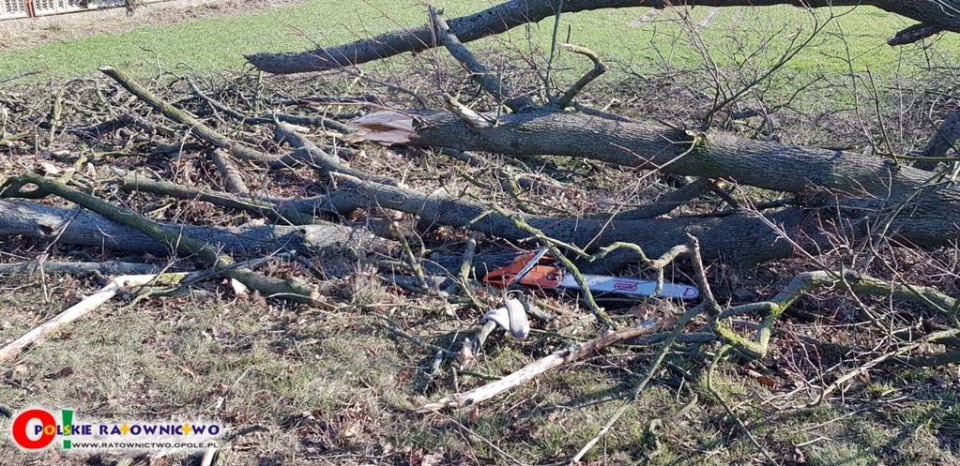 Wypadek podczas wycinki drzew [fot. kluczbork 112, ratownictwo.opole.pl]