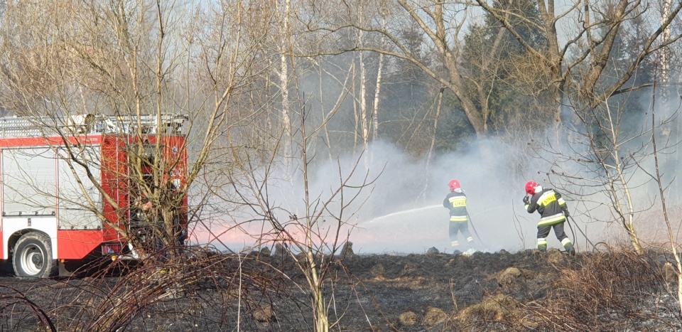 Pożar ścierniska w Głuchołazach (fot. Mariusz Studzienny)