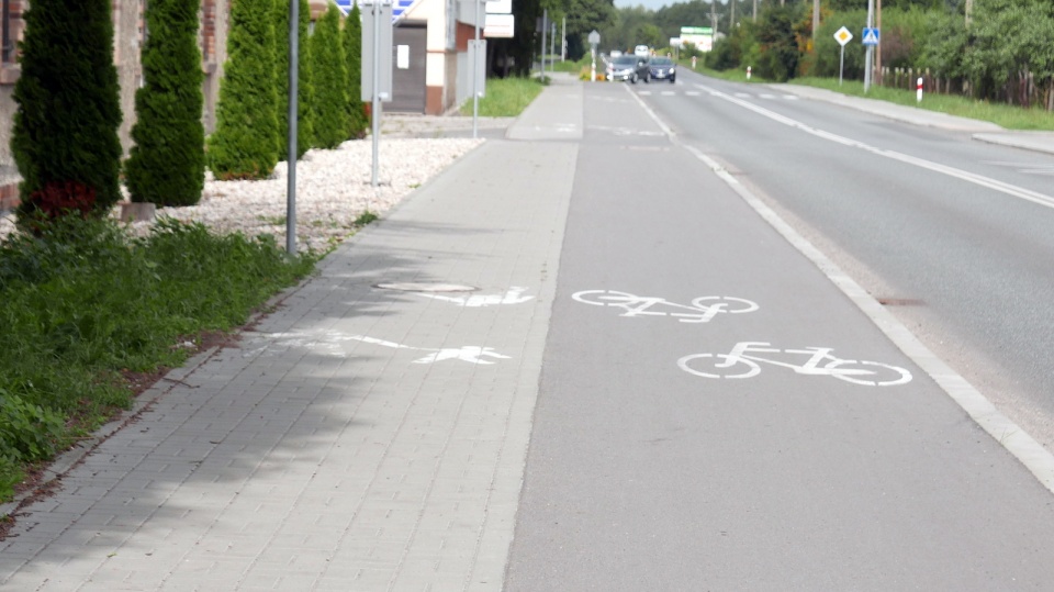 Ścieżki pieszo-rowerowe mają być elementem projektu centrum przesiadkowego w Tułowicach [fot. Mariusz Chałupnik]