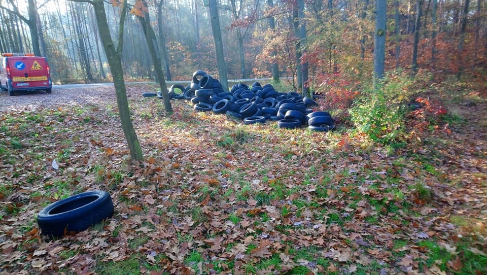 Nielegalne składowisko opon w lesie foto: Nadleśnictwo Prószków/facebook