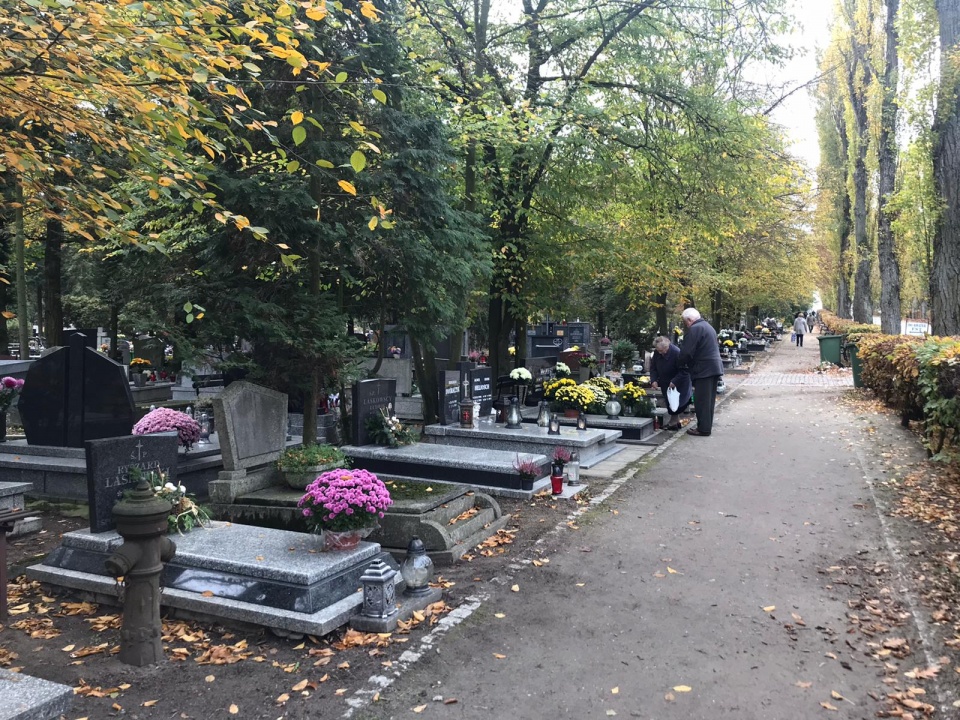 Cmentarz Komunalny w Opolu [fot.M.Matuszkiewicz]