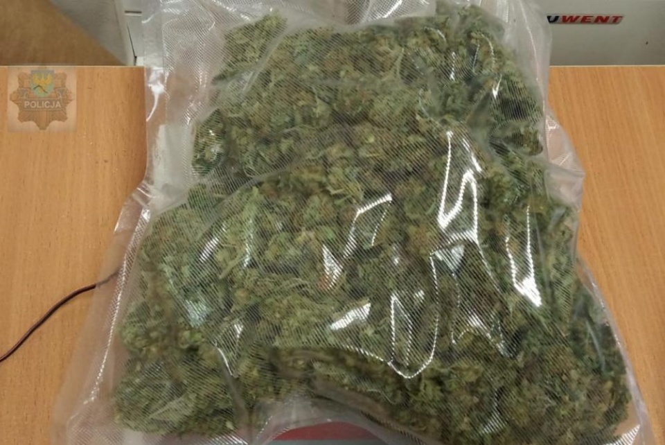 Marihuana [fot. policja]