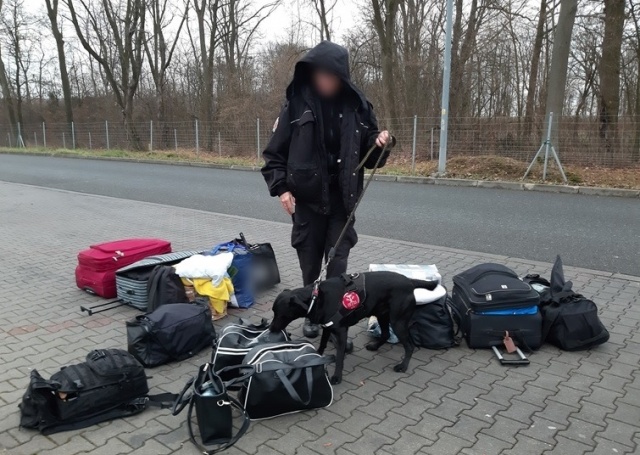 Podróżowali autostradą A4 z narkotykami w bagażach. Mężczyźni dobrowolne poddali się karze grzywny