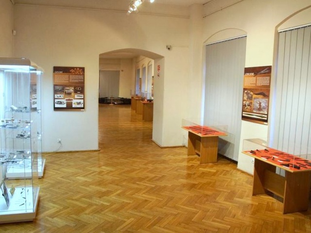 Mieszkanki powiatu kluczborskiego zaprezentują jutro swoje prace malarskie w Muzeum im. Jana Dzierżona