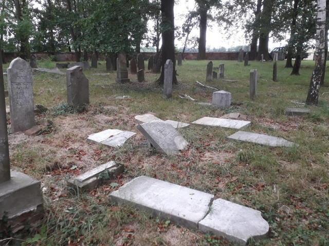 Zniszczone groby na dobrodzieńskim cmentarzu żydowskim. Nie ma pewności, kiedy dokładnie doszło do dewastacji