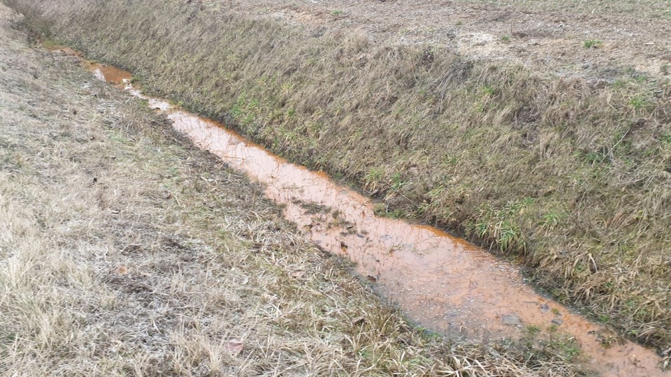 Zdaniem mleczarni, szkodliwy osad może spływać z jednego z gospodarstw w Okopach [fot. Piotr Fitowski]