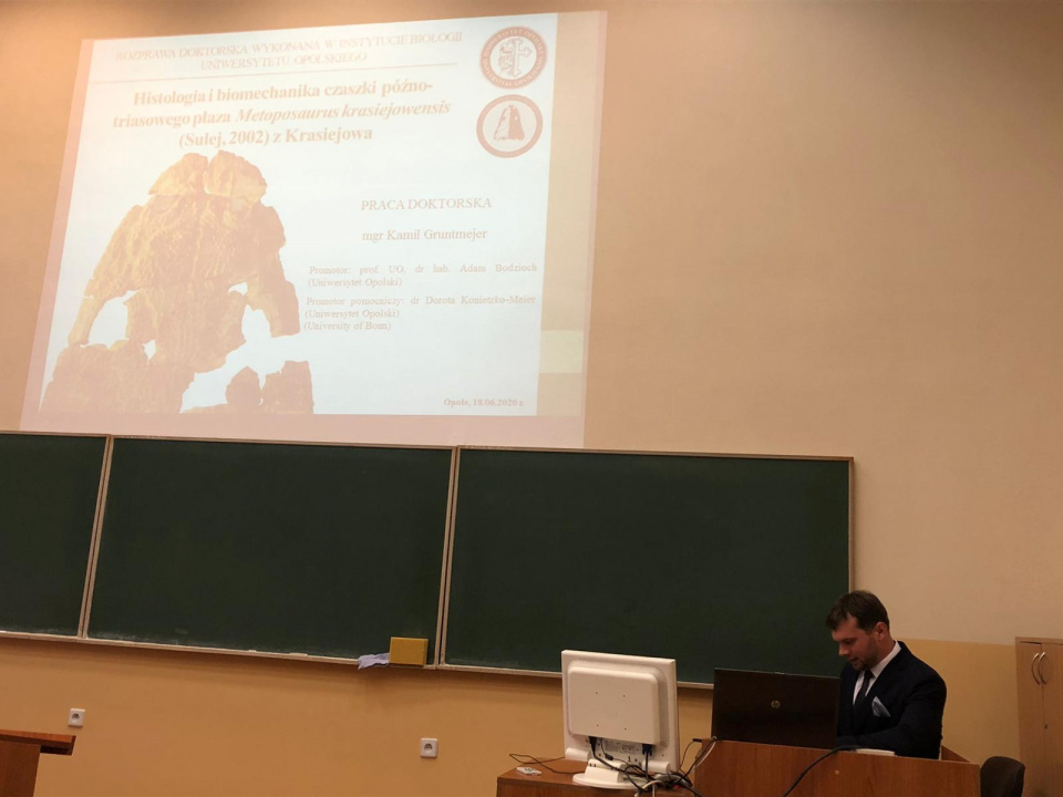 Doktorant z Uniwersytetu Opolskiego zbadał czaszkę płaza z Krasiejowa [fot.M.Matuszkiewicz]