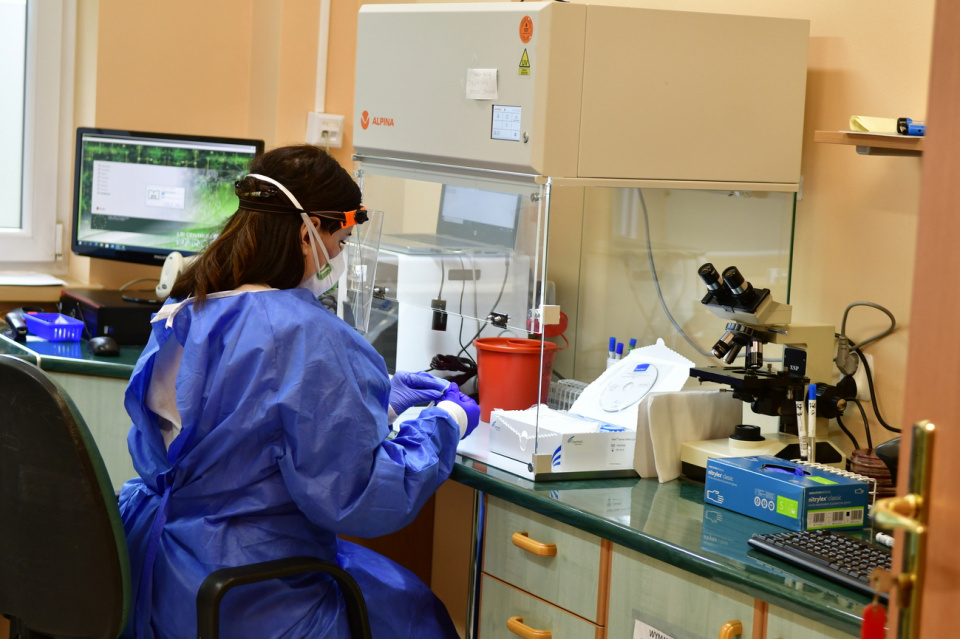 Szpital w Koźlu wykonuje testy na obecność wirusa dla swoich pacjentów [fot. A. Liszka]
