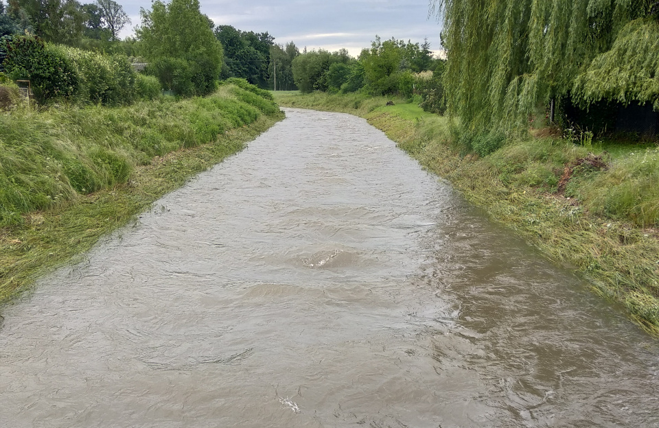 Opada woda w Złotym Potoku, w gminie Prudnik [zdj. Jan Poniatyszyn]