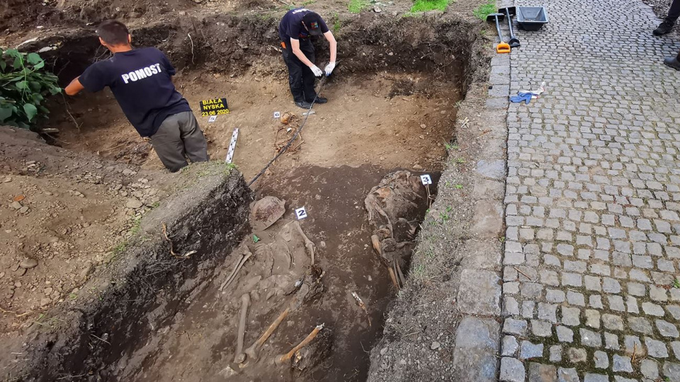 Prace ekshumacyjne w Białej Nyskiej [fot. Pracownia Pomost z Poznania]