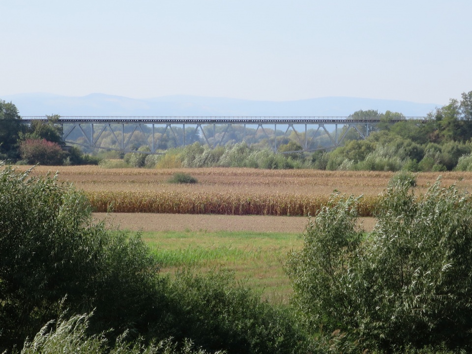 Most kolejowy nad Osobłogą w Racławicach Śląskich [zdj. Jan Poniatyszyn]