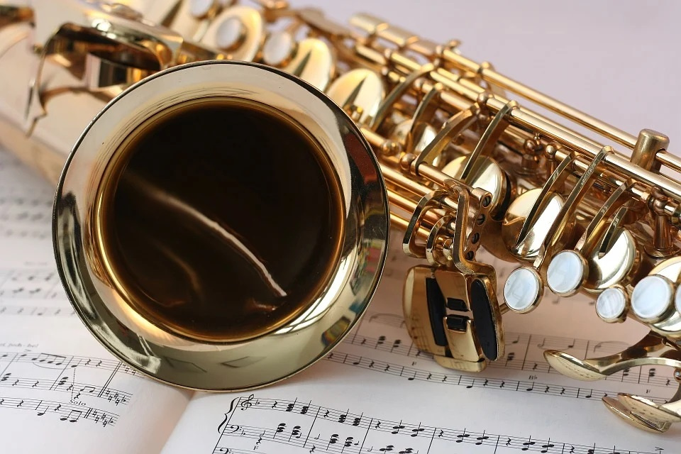 Koncert jazzowy w Głogówku odbędzie się 30 lipca w ogrodzie Hotelu Salve. Początek o godz. 19:00. Wstęp wolny! [fot. https://pixabay.com/pl/photos]