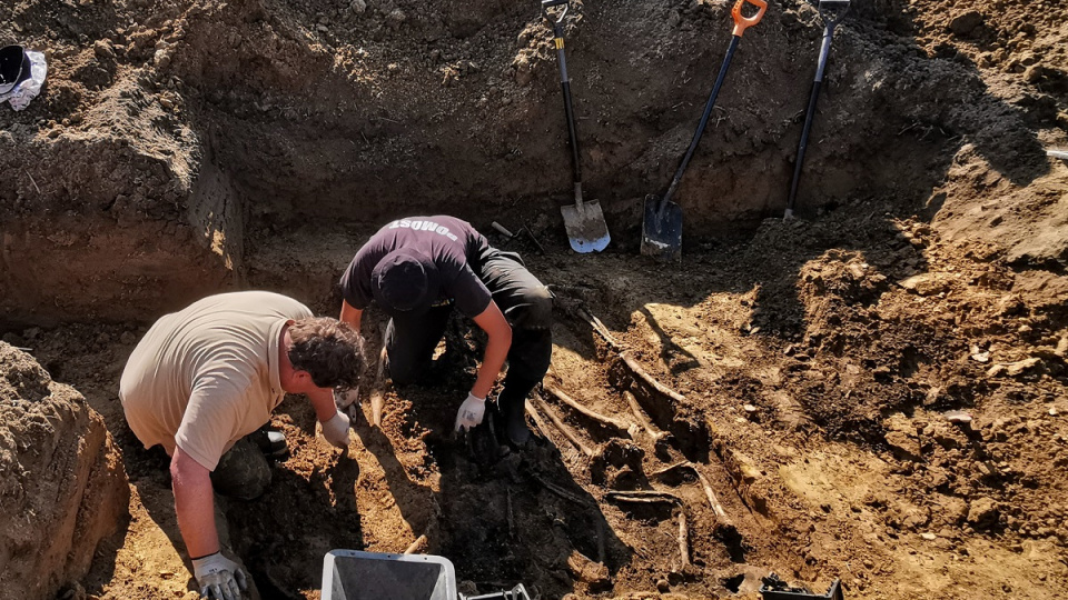 Odnalezione szczątki w Nogowczycach [fot. Pracownia Badań Historycznych i Archeologicznych POMOST]