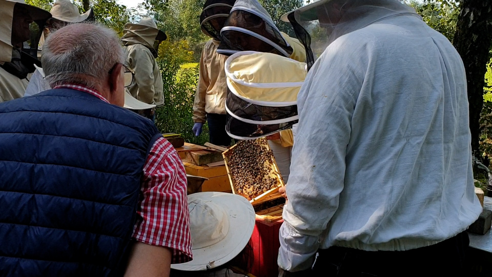 Ogromne zainteresowanie pszczelarstwem [foto:Mariusz Studzienny]