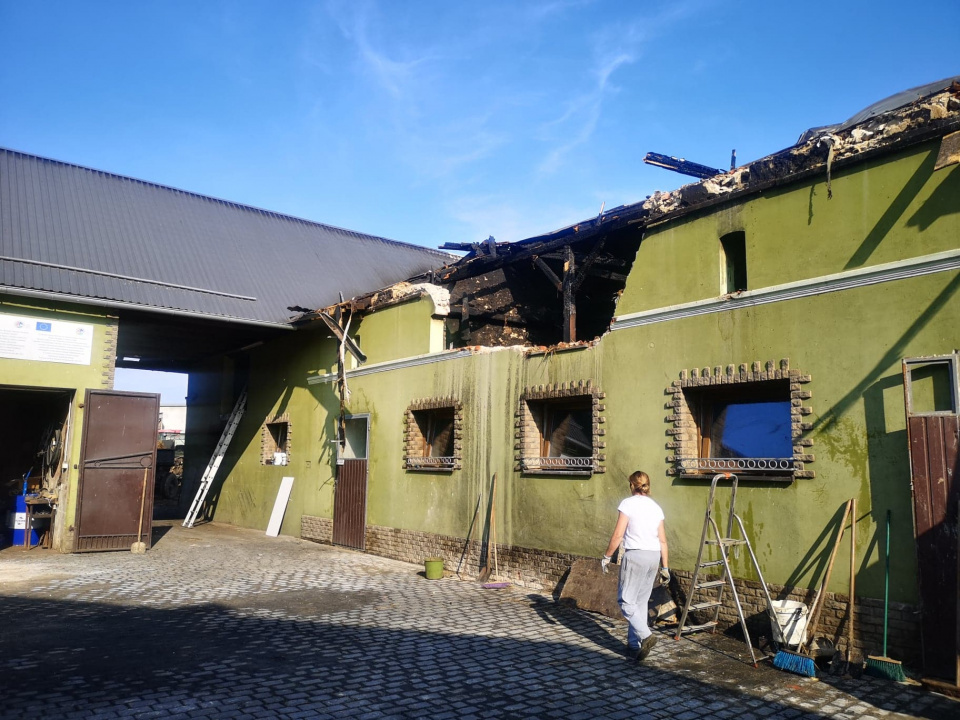 Znamy wstępną przyczynę pożaru zabudowań gospodarczych w Strzelcach Opolskich [fot. Katarzyna Doros]