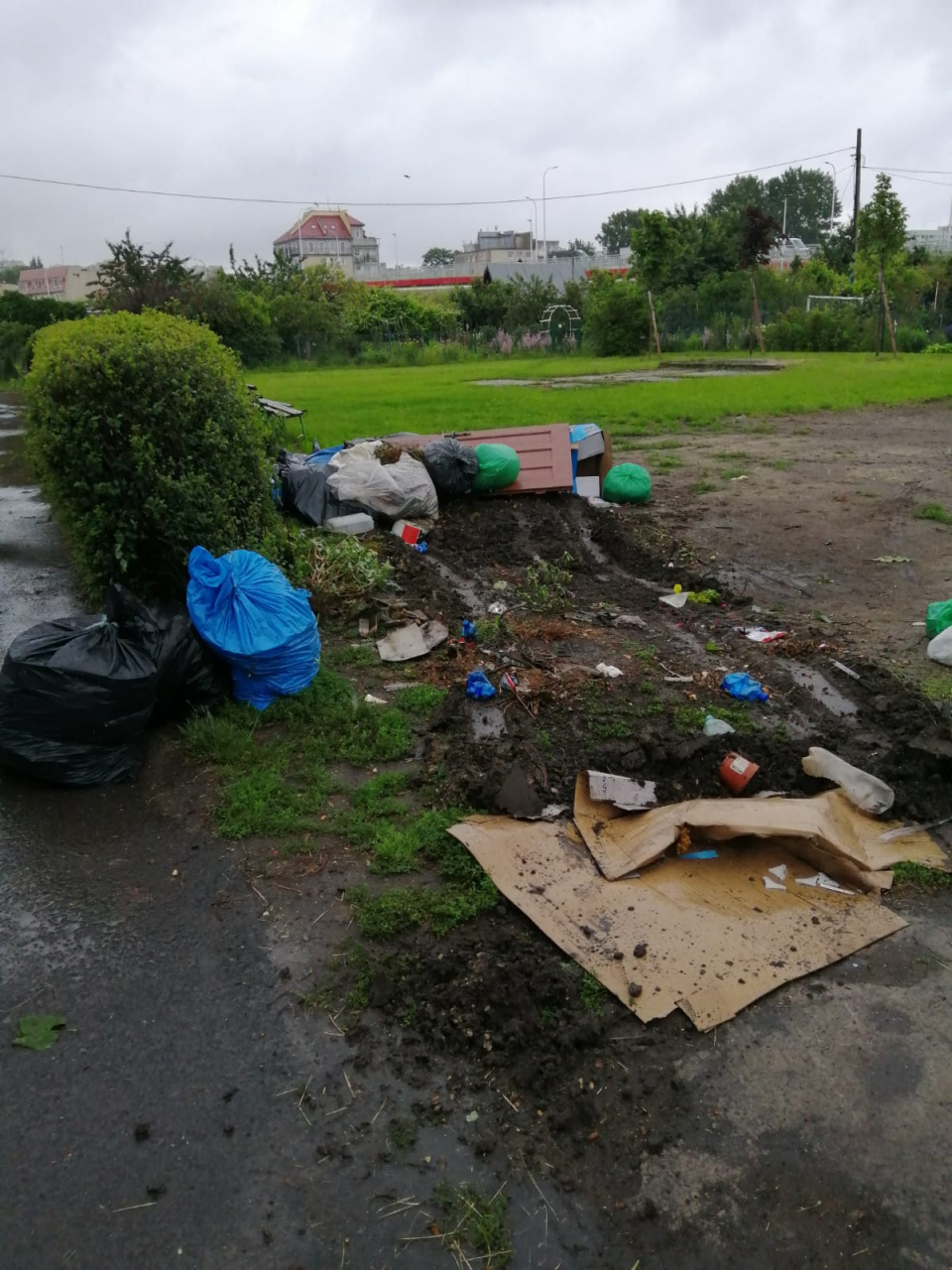 W Opolu właściciele ogródków działkowych "Odra" walczą z problemem śmieciowym [fot. archiwum prywatne]