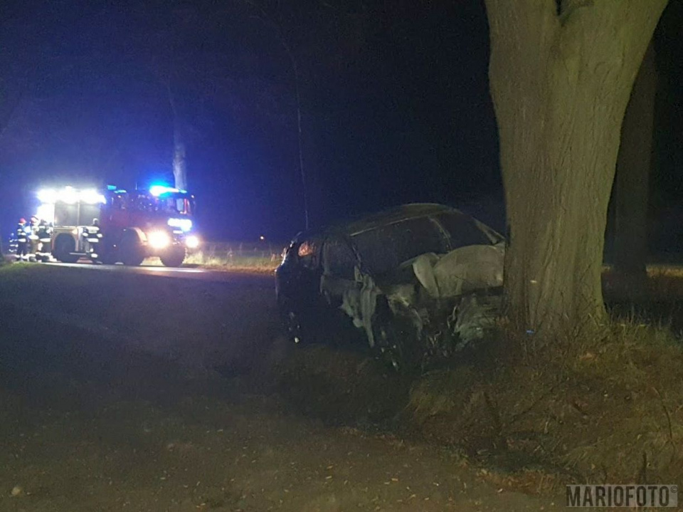 W gminie Lasowice Wielkie samochód uderzył w drzewo i zapalil się [fot. Mario] 2