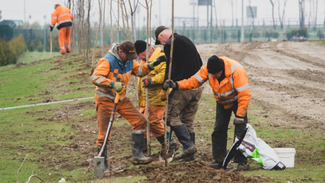 Podnyska Bioagra kontynuuje program nasadzeń drzew i krzewów. Rośliny mają ograniczyć hałas i zapachy z zakładu
