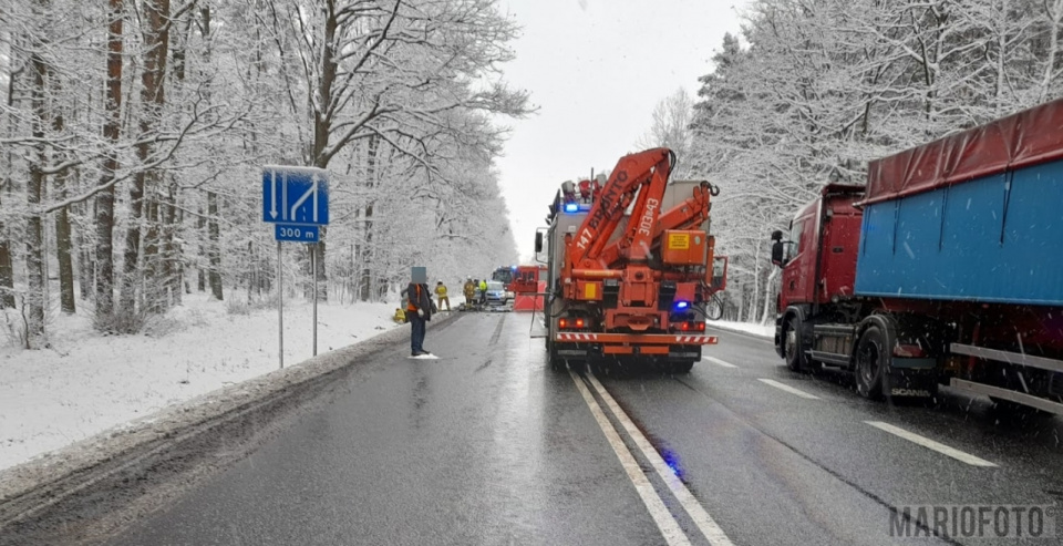 Śmiertelny wypadek na DK 46 w rejonie Dąbrowy [fot. Mario]